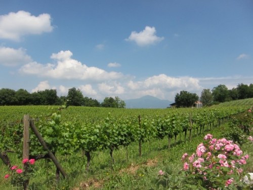 Franciacorta, Italy
