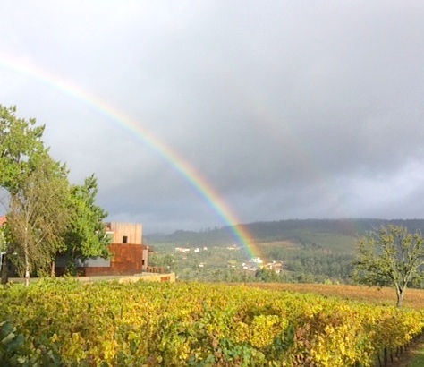 rainbow over vinho verde