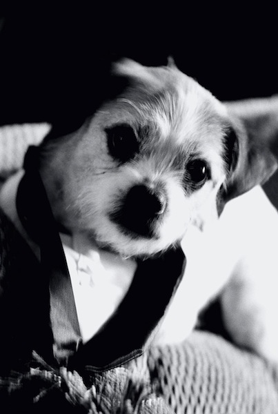 43970003-1 (dragged)