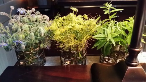 Forgotten Herbs at the Bar at Meadowood