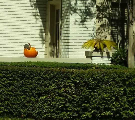 20141030_114011_resized