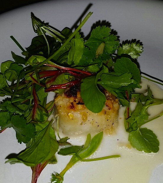 20141212_193143_resized