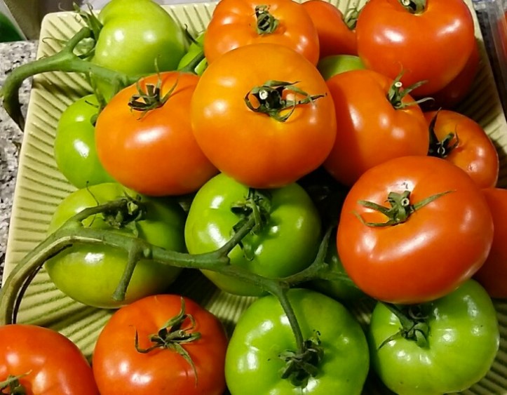 20150525_180748_resized