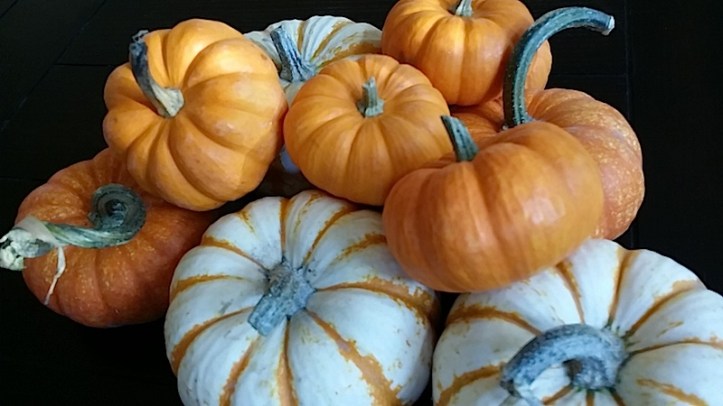 pumpkins