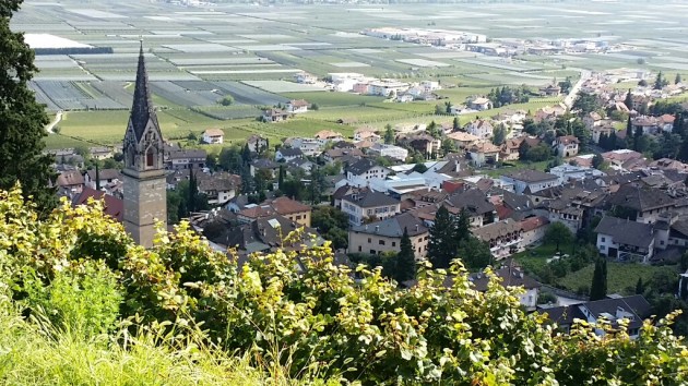 Elena Walch vineyards rise above the town of Traminer, Italy